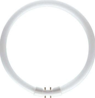  60W Philips Master TL5 Circular