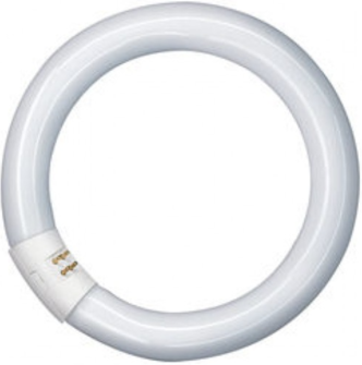L 32W/827 Osram Circular Lumilux Interna 