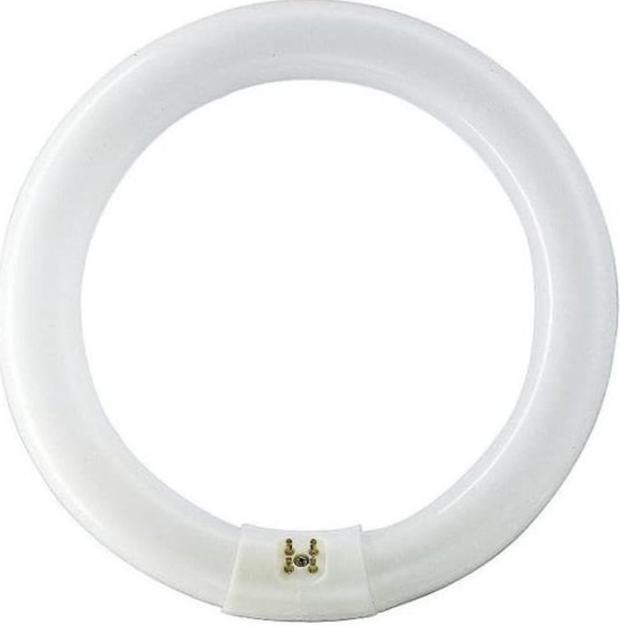 L 22W/840 Osram Circular Lumulux Cool White
