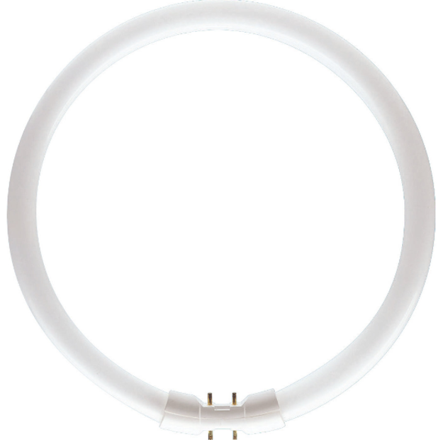 Philips Master TL5 Circular 40W/830